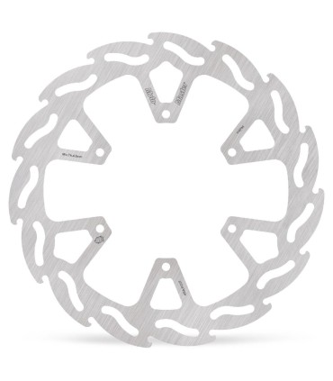 BRAKE DISC FLAME REAR