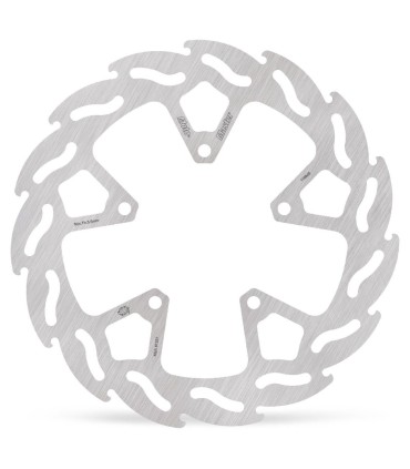 BRAKE DISC FLAME REAR