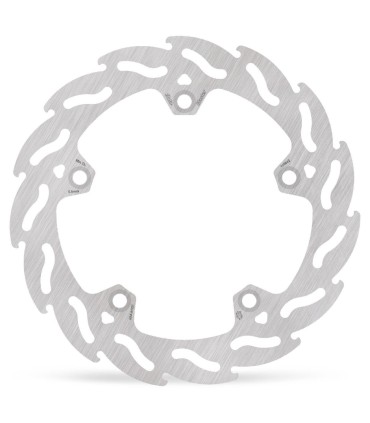 BRAKE DISC FLAME REAR