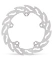 BRAKE DISC FLAME REAR