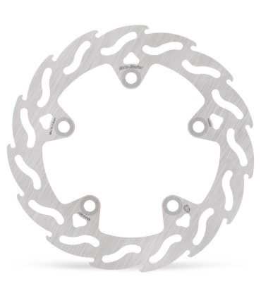 BRAKE DISC FLAME FRONT