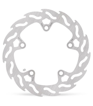 BRAKE DISC FLAME REAR