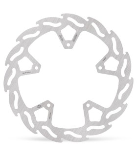 BRAKE DISC FLAME REAR