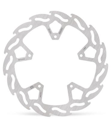 BRAKE DISC FLAME REAR