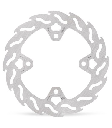 BRAKE DISC FLAME REAR