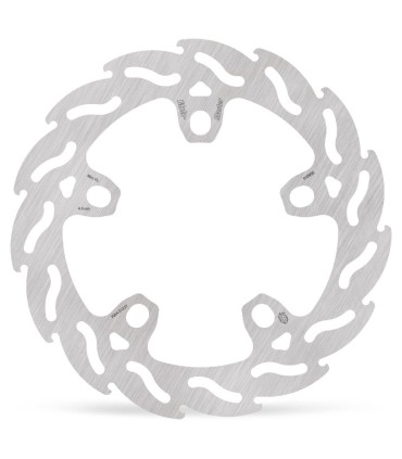 BRAKE DISC FLAME REAR