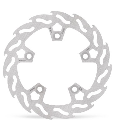 BRAKE DISC FLAME REAR