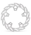 BRAKE DISC FLAME REAR