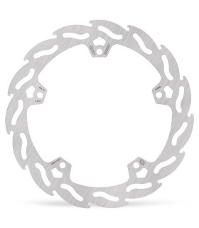 BRAKE DISC FLAME REAR