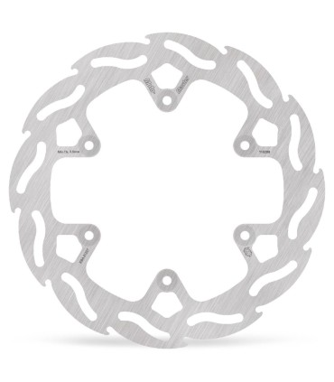 BRAKE DISC FLAME REAR