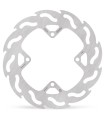 BRAKE DISC FLAME REAR