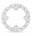 BRAKE DISC FLAME REAR
