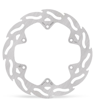 BRAKE DISC FLAME REAR