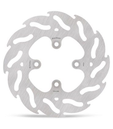 BRAKE DISC FLAME REAR