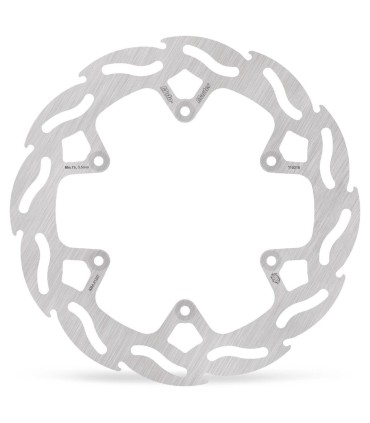 BRAKE DISC FLAME REAR