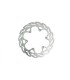 BRAKE DISC FLAME REAR