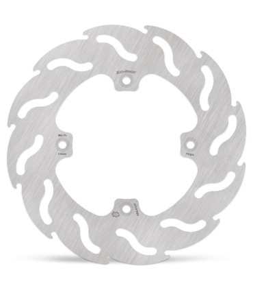 BRAKE DISC FLAME REAR