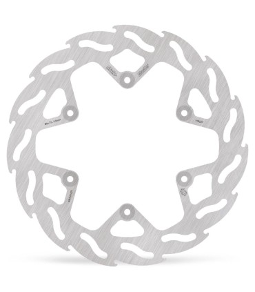 BRAKE DISC FLAME REAR