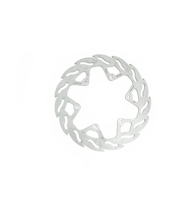 BRAKE DISC FLAME REAR