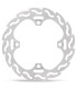BRAKE DISC FLAME REAR