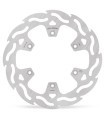 BRAKE DISC FLAME REAR