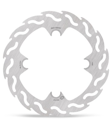BRAKE DISC FLAME REAR