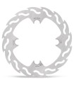 BRAKE DISC FLAME REAR