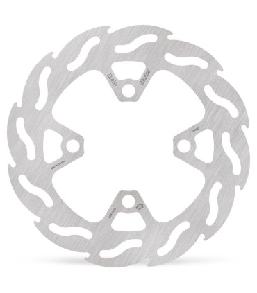 BRAKE DISC FLAME REAR