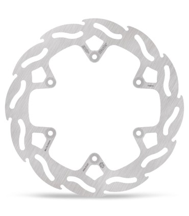 BRAKE DISC FLAME REAR