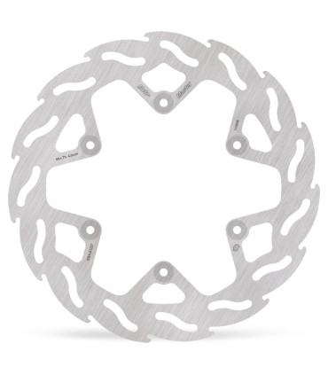 BRAKE DISC FLAME REAR