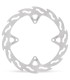 BRAKE DISC FLAME REAR