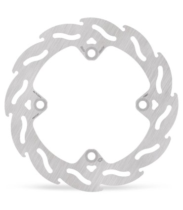 BRAKE DISC FLAME REAR