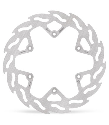 BRAKE DISC FLAME REAR