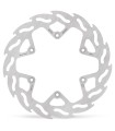 BRAKE DISC FLAME REAR