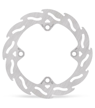 BRAKE DISC FLAME REAR