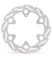 BRAKE DISC FLAME REAR