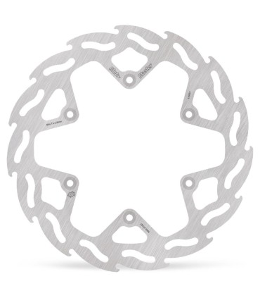 BRAKE DISC FLAME REAR