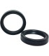 FORK SEAL 45X57X11