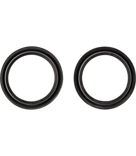 DUST SEAL 48.X58.50 WP