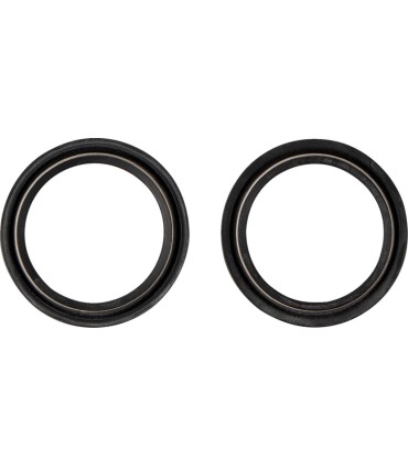 DUST SEAL 48.X58.50 WP