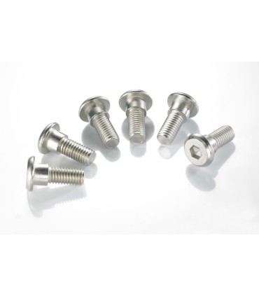 BRAKE ROTOR BOLTS