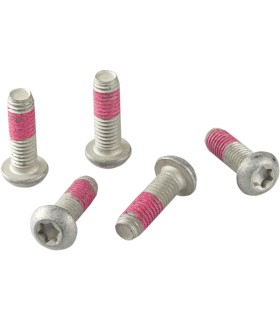 BRAKE ROTOR BOLTS