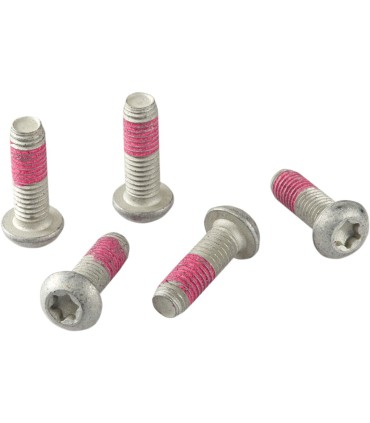 BRAKE ROTOR BOLTS