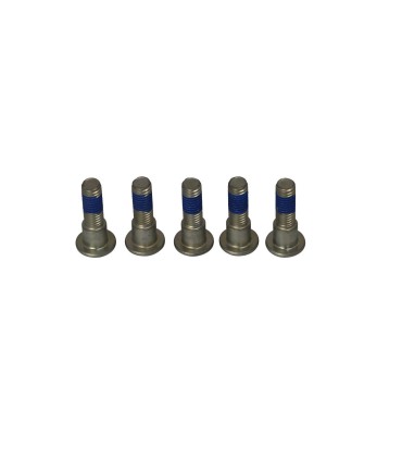 BRAKE ROTOR BOLTS