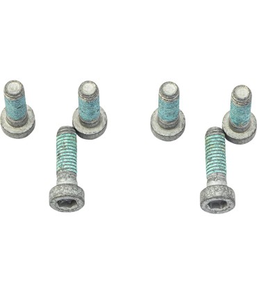 BRAKE ROTOR BOLTS