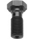 BANJO BOLT BLK M10X1 25