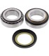 BEARING STEERING STEM TRI