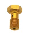 BANJO BOLT GOLD M10X1 BREMBO