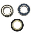 BEARING KIT STRNG STEM