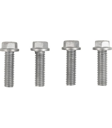 RADIATOR GUARDS SILVER TRIUMPH